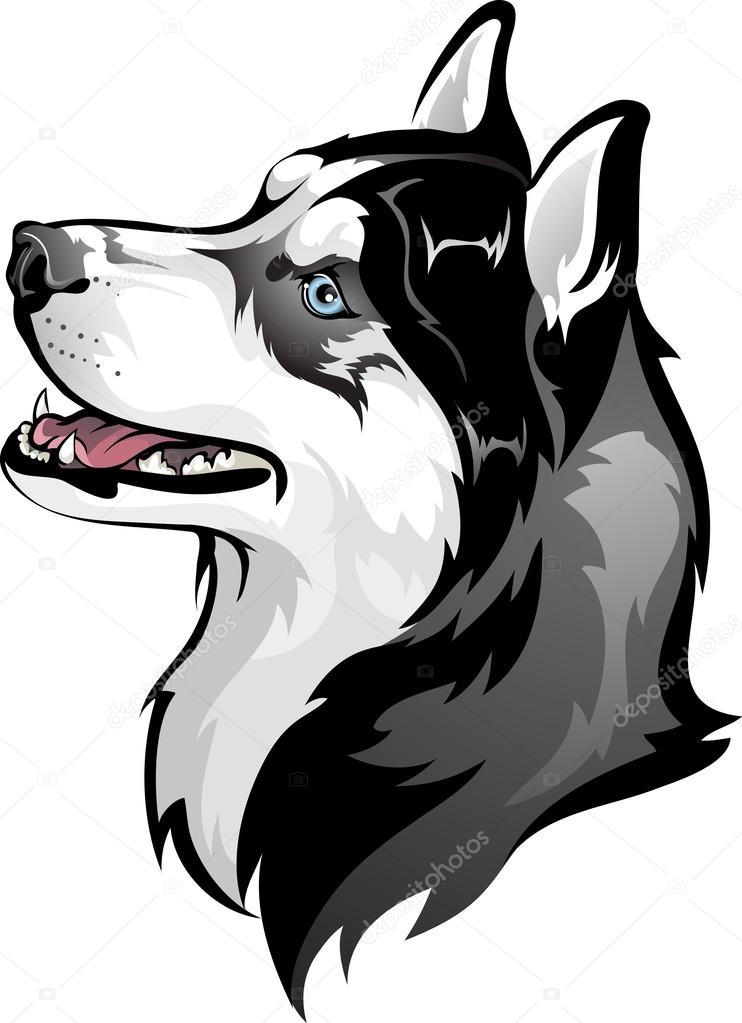 Sibirischer husky imágenes de stock de arte vectorial | Depositphotos