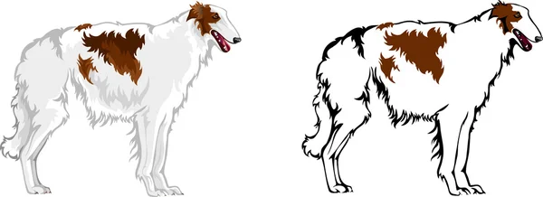 Rus greyhound — Stok Vektör