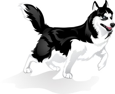 gurur dış yapraklar