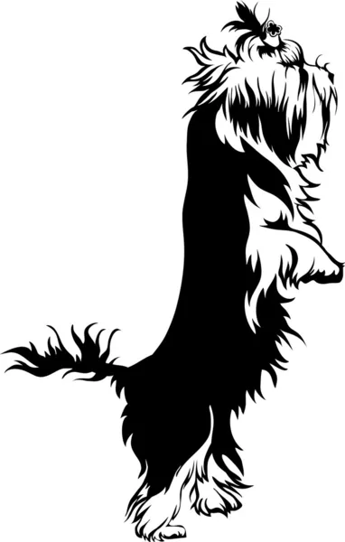 Yorkshire Terrier — Stock Vector