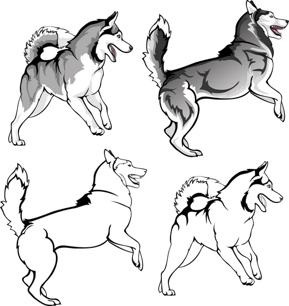 Juguetes husky — Vector de stock