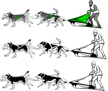 takım köpeklerin farklı seçenekleri