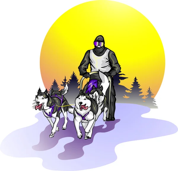 Equipo de Huskies siberianos contra un paisaje — Vector de stock