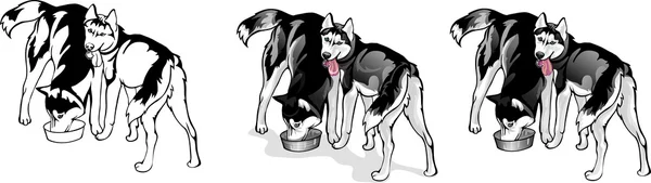 Two dogs eat from a bowl — Stock Vector