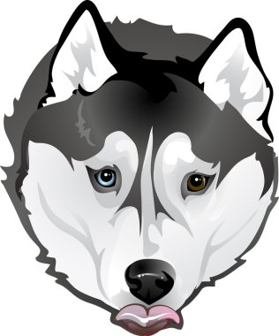 huskies gıda yalvarmak