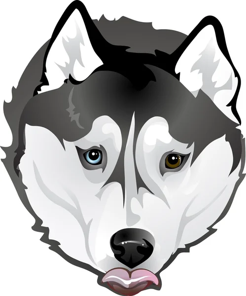 Huskies rogando comida — Vector de stock