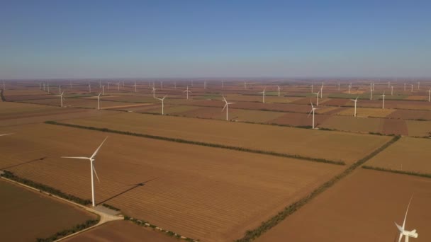 Воздушный вид ветряных турбин в поле — стоковое видео
