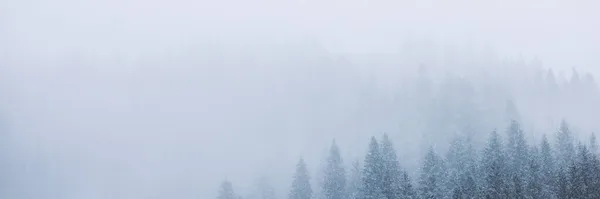 Téli karácsonyi jelenet, kilátás a havas fenyves erdő a hegyekben — Stock Fotó