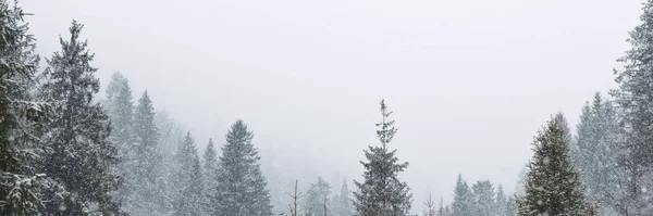 Téli karácsonyi jelenet, kilátás a havas fenyves erdő a hegyekben — Stock Fotó