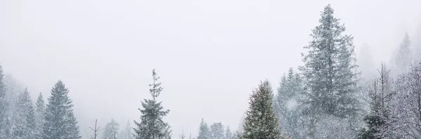 Zimowa Scena Bożonarodzeniowa, Widok na Snowy Pine Forest w górach — Zdjęcie stockowe