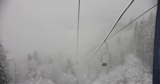 Zimní scéna, Pohled na zasněžený borovicový les a lyžařský plášť v horách — Stock video