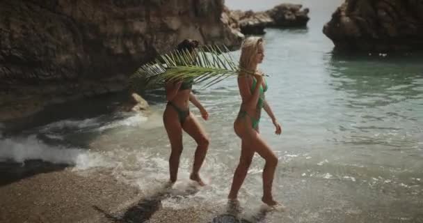 Praia meninas em biquíni com folha de palma durante as férias de verão ao ar livre — Vídeo de Stock