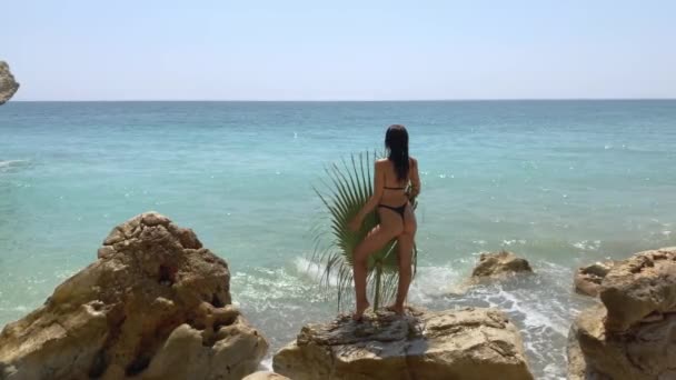 Praia menina modelo em biquíni preto com folha de palma na pedra durante as férias de verão ao ar livre — Vídeo de Stock