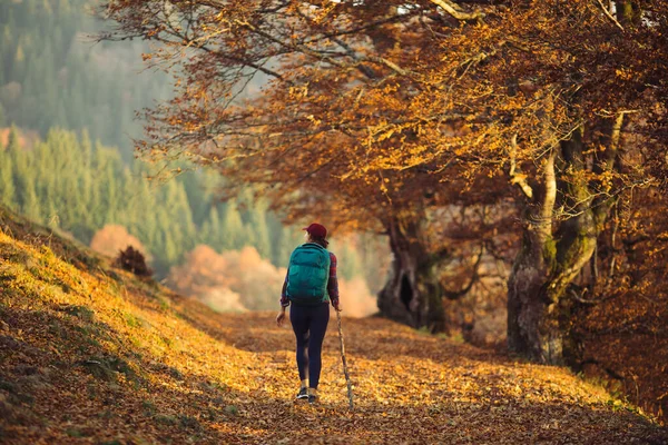 Caminhante feminina na estrada rural perto da floresta de montanha — Fotografia de Stock
