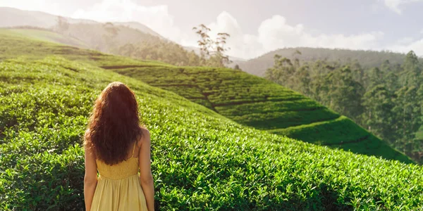 Mulher viajante nas plantações de chá em Nuwara Eliya, Sri Lanka — Fotografia de Stock