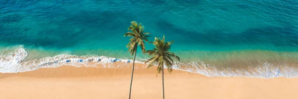 空中无人驾驶飞机看到美丽的未被触动的热带海滩横幅与棕榈树和清澈的水 完美的海岸与沙滩和可可棕榈旅游的全景背景概念 迷人的海滩 — 图库照片