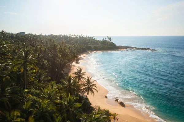 Palmiye Ağaçları Dalgalı Deniz Sörfü Olan Güzel Kumlu Bir Sahil — Stok fotoğraf