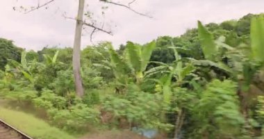 Travel and Exploration of Tourist Woman by Train to Famous Landmarks in Sri Lanka. Romantic young traveler woman enjoying extreme fun train ride from Ella to Kandy among rainforest and fields in the