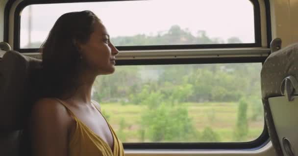 Подорож Розвідка Туристичної Жінки Поїздом Шрі Ланки Вагоні Першого Класу — стокове відео