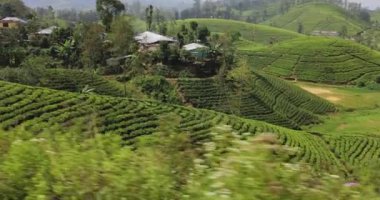 Moving shot of tea plantations taken from a train in Sri Lanka. High quality slow motion 4k footage