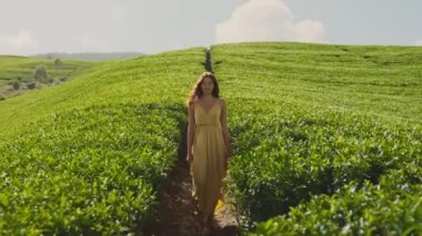Traveler woman walking among tea trees during her travel to famous nature landmark tea plantations. Romantic brunette Asian girl in stylish yellow dress walking, enjoying her vacations against perfect