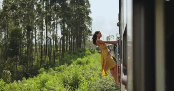 スリランカの有名なランドマークに電車で観光女性の旅行や探査 熱帯の国の周りの観光旅行 キャンディからエラへのツアー 極端な魅力 勇敢な旅客の女の子のドレス — ストック動画