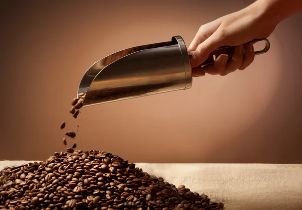 Ruka držící ocelová lopatka a kávová zrna — Stock fotografie