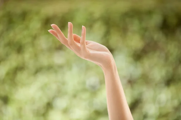 Bella mano donna — Foto Stock