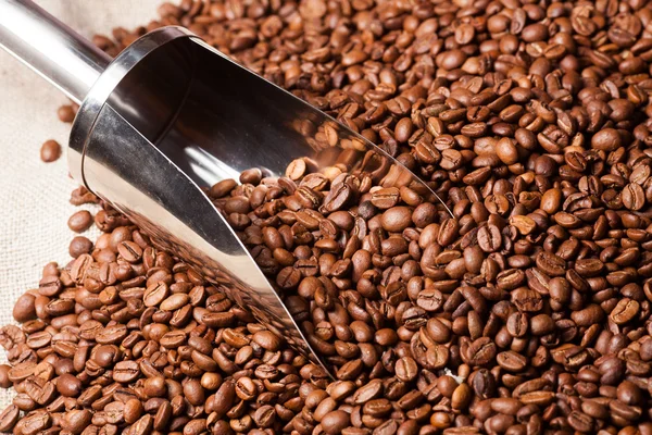 Pytlovina pytel kávová zrna — Stock fotografie