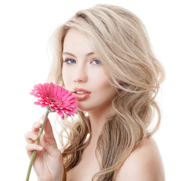 Beautiful Woman Holding Pink Chrysanthemum Royalty Free Stock Images