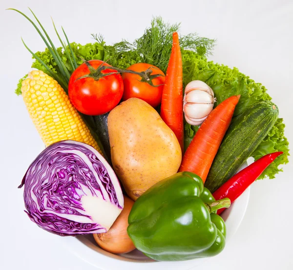 Sukkulente grønnsaker – stockfoto