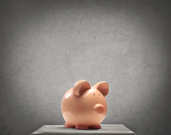 Small Piggy — Stock Photo, Image