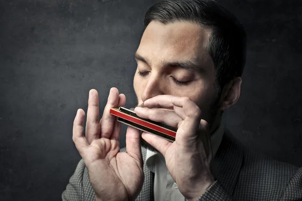 Homem jogando um squeezebox — Fotografia de Stock