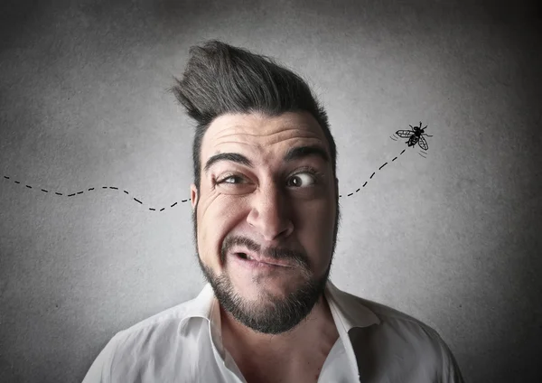Homem incomodado por uma mosca — Fotografia de Stock