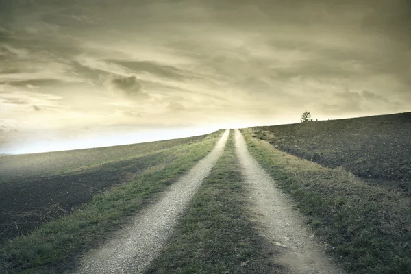 Path in the field — Stock Photo, Image