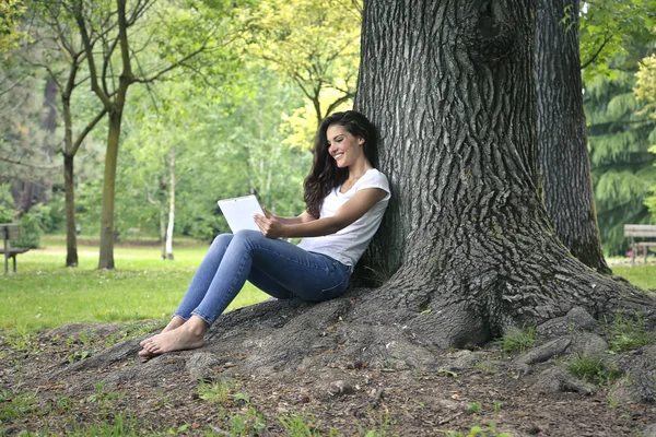 In the woods — Stock Photo, Image