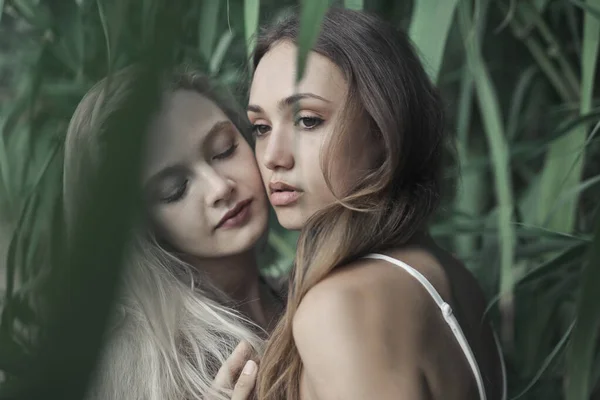 Portrait Two Young Women Tree — ストック写真