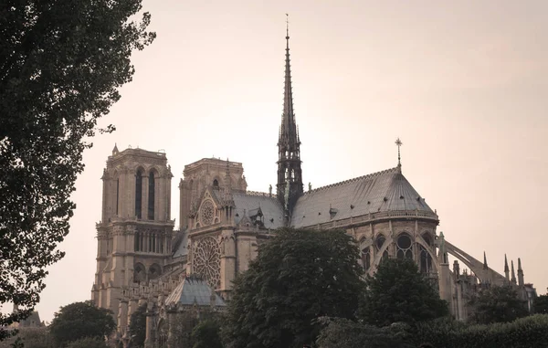 Notre Dame Paris Frankrike — Stockfoto