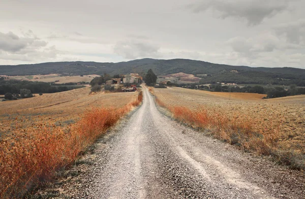 Footpath Countryside Tuscany Italy — ストック写真