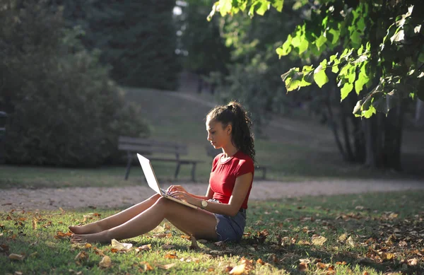 Jonge Vrouw Werkt Met Een Computer Een Park — Stockfoto