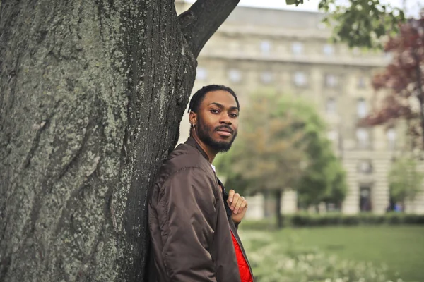 Portrait Young Man Park — Stock Photo, Image