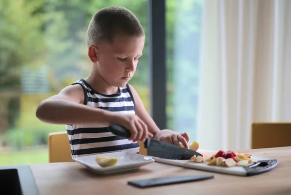 Çocuk Mutfakta Meyve Hazırlıyor — Stok fotoğraf