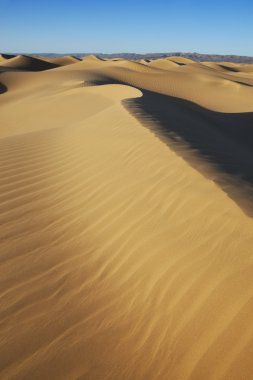 Sahara çöl kumulları ile mavi gökyüzü işareti kaldırın..