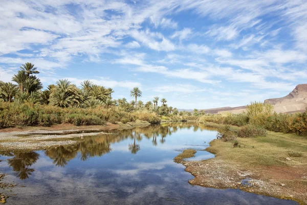 Oasis at the Draa River with cloudy blue sky reflected in the wa — Stock Photo, Image