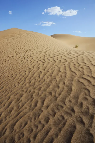 Sahara çöl kumulları ile bulutlu gökyüzü mavi. — Stok fotoğraf