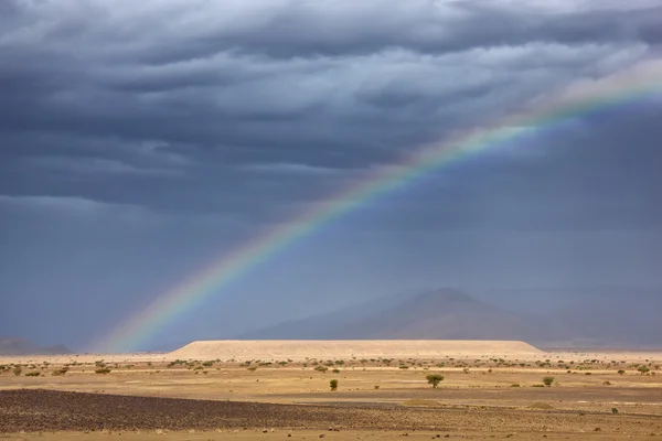 Rainbow in the Sahara desert. — Stock Photo, Image