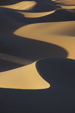 Sahara çöl kumulları karanlık gölgeler.