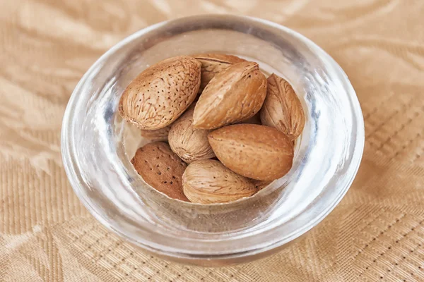 Argan nuts in a glass cup. — Stock Photo, Image