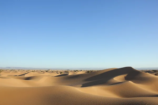 Dunas de arena del desierto del Sahara con cielo azul claro . — Foto de Stock