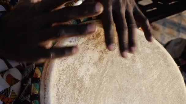 Ein Senegalese Spielt Auf Einer Traditionellen Djembe Trommel Westafrikanische Traditionelle — Stockvideo